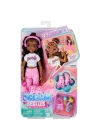 BFS   JFX97 Brooklyn-Barbie Dream Besties Paten Partisi Brooklyn Bebek ve Aksesuarları