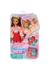 BFS   JFX98 Teresa - Barbie Dream Besties Paten Partisi Teresa Bebek ve Aksesuarları