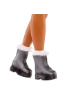 BFS  JGG36 Barbie Dream Besties Zia