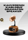BFS Kablosuz Retro Radyo Hoparlör 5W Güçlü Ses USB Hafıza Kart Destekli