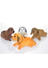 BFS Kafa Sallayan Köpek Aksesuar