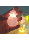 BFS  Karışık Renk Dekoratif Ananas Dolama 10’lu Şerit Led Işık Zinciri