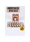 BFS Kestane Amonyaksız Bitki Özlü 6 Lı Paket Saç Kınası