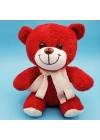BFS Kırmızı Peluş Atkılı Oyuncak Ayıcık