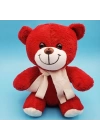 BFS Kırmızı Peluş Atkılı Oyuncak Ayıcık