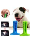 BFS  Köpek Diş Temizleyici ve Kaşıyıcı Sağlıklı Küçük Boy Oyuncak
