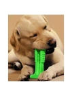 BFS  Köpek Diş Temizleyici ve Kaşıyıcı Sağlıklı Küçük Boy Oyuncak