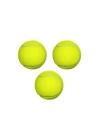 BFS Köpek Oyun Topu Tenis Topu *