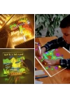 BFS  LED Işıklı Kendiliğinden Renkli Fosforlu Kalemli Kare Yazı Panosu 20x20 cm