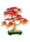 BFS  LEGO Botanicals Japon Kırmızı Akçaağaç Bonsai Ağacı 10348