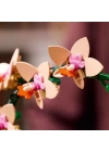 BFS   LEGO Botanicals Mini Orkide 10343