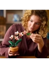 BFS   LEGO Botanicals Mini Orkide 10343
