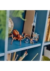 BFS   LEGO Harry Potter Aragog Yasak Ormanda 76434