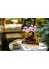 BFS   LEGO Icons Bonsai Ağacı 10281