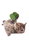 BFS   Mini Silindir Eğlenceli Renkli Sağlam Küçük Pati İzi Şekilli Kedi Oyuncağı