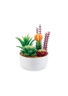 BFS   MN800010 - MN800000 Mini Brands - Botanik Bahçe 77559