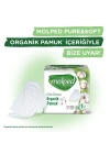 BFS   Molped Pure&Soft Normal Ped Süper Eko 24 Adet
