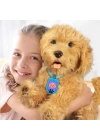 BFS   My Fuzzie Friends Sevimli Labrador Moji 18207