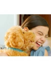 BFS   My Fuzzie Friends Sevimli Labrador Moji 18207
