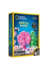 BFS   Natgeo Kristal Bitki Kiti