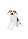 BFS Nessiworld 01409 Oturan Beagle Köpek Peluş 68 cm