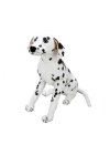 BFS Nessiworld 01411 Dalmaçyalı 68 cm. Peluş