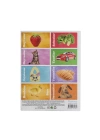 BFS Nessiworld 1161  Flash Cards  İlk 50 Sözcük -DıyToy