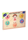 BFS Nessiworld 166/167 Onyıl, Ahşap Tutmalı Organlar