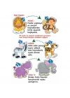 BFS Nessiworld 1703 BABY PUZZLE BENİM İLK HAYVANLAR PUZZLEM