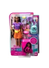 BFS Nessiworld HGX55 Barbie Brooklyn Seyahatte Bebeği ve Aksesuarları