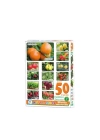 BFS Nessiworld LC7178 BABY 50 MEYVE SEBZE