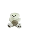 BFS  PB30453-22S1 Peluş Asorti Ayı ve Panda 23 cm