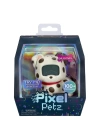 BFS   Pixel Petz Dalmaçyalı