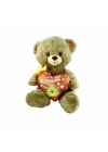 BFS   PJH2323 Peluş Kalpli Ayı Love You 30 cm