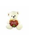 BFS   PJH2323 Peluş Kalpli Ayı Love You 30 cm