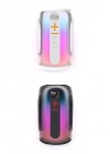 BFS Pluse 8 RGB Kablosuz Hoparlör - Siyah