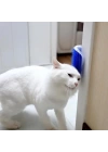 BFS   Pratik Kedi Tüyü Kaşıma Ve Tarama Aparatı Duvara Monte Kaşıma Aleti