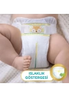 BFS    Premium Care Bebek Bezi Fırsat Paketi 6 Beden 62 Adet