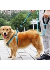 BFS  Reflektörlü Fosforlu Köpek Gezdirme Halatı Tasma Kayışı Metal Kancalı 130 cm