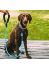 BFS  Reflektörlü Fosforlu Köpek Gezdirme Halatı Tasma Kayışı Metal Kancalı 130 cm