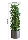 BFS  Saksılı Bitki Tasarımlı Yapışkanlı Sticker Resim 90*30 cm MC-665