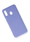 BFS  Samsung Galaxy A20 Kılıf Nano içi Kadife Silikon - Lila