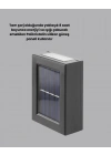 BFS Şeffaf Abajurlu Duvar Tipi Solar Işık