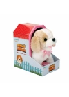 BFS   Sihirli Köpek Peluş