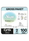 BFS   Sleepy Bio Natural Bebek Bezi Gross Paket 2 Beden 3-6 Kg 100 Adet
