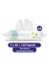BFS   Sleepy Bio Natural Islak Havlu Mendil 3x40 120 Yaprak