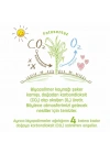BFS   Sleepy Bio Natural Islak Havlu Mendil 3x40 120 Yaprak