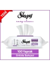 BFS   Sleepy Yüzey Temizlik Havlusu 100 Adet Orkide