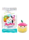 BFS  Squishmallows Mystery Squad Sürpriz Figür 13 cm