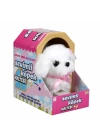 BFS   Sunman Sevimli Köpek Maltese